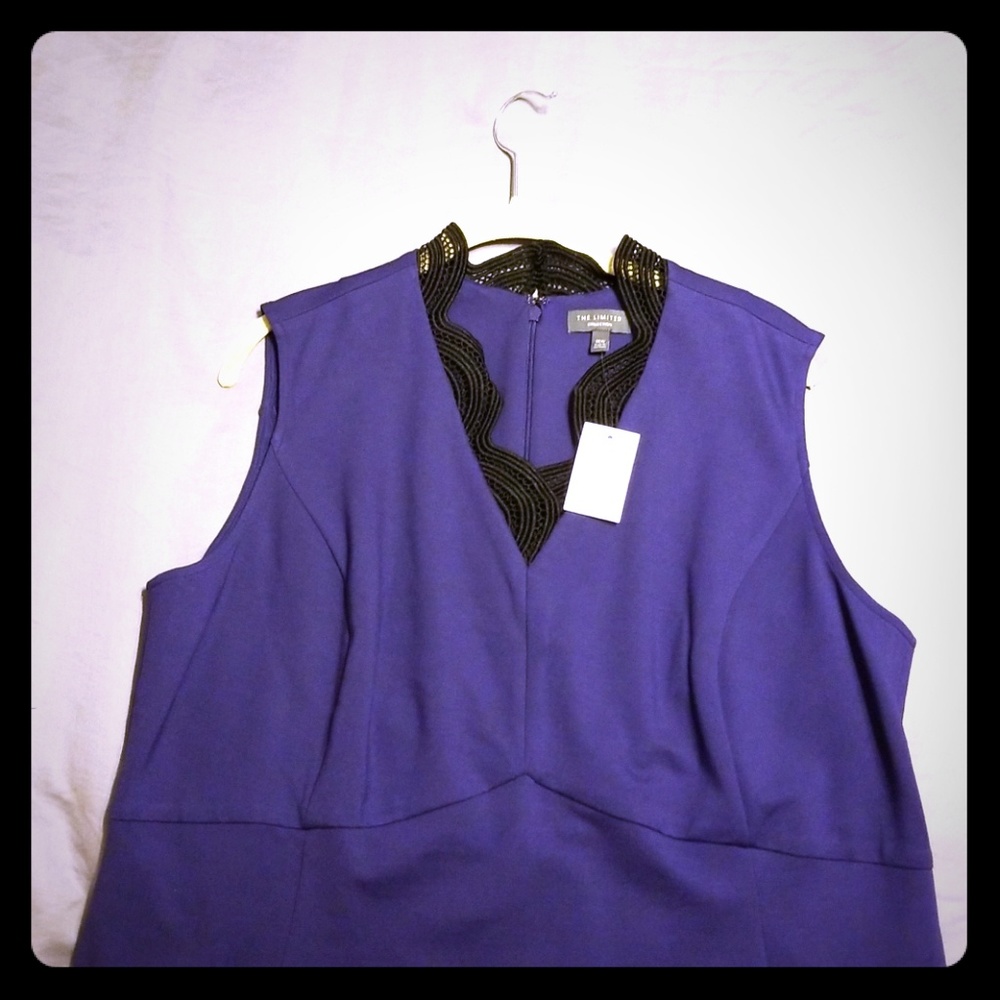 Brand New Navy & Black Dress